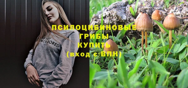 мет Мегион