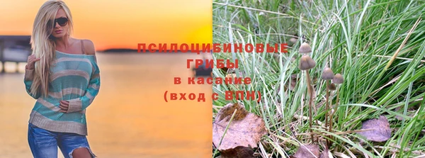 спайс Медвежьегорск