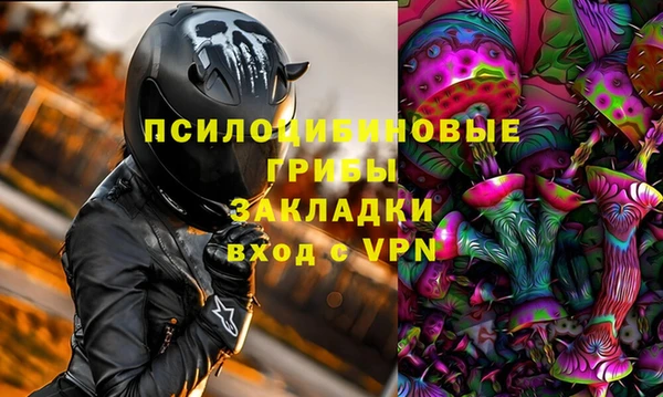 амф Медногорск
